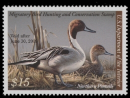 Scan of RW75 2008 Duck Stamp  MNH XF