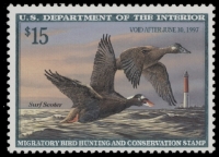 Scan of RW63 1996 Duck Stamp  MLH VF