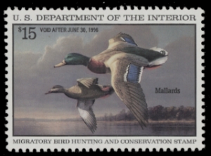 Scan of RW62 1995 Duck Stamp  MLH VF