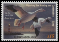 Scan of RW70 2003 Duck Stamp  MNH VF