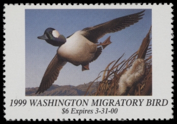 Scan of 1999 Washington Duck Stamp MNH VF