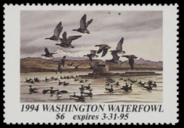 Scan of 1994 Washington Duck Stamp MNH VF