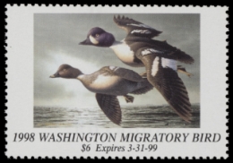 Scan of 1998 Washington Duck Stamp MNH VF