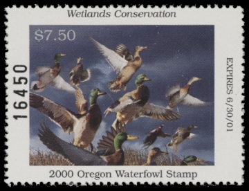 Scan of 2000 Oregon Duck Stamp MNH VF