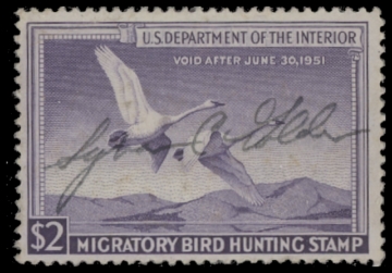 Scan of RW17 1950 Duck Stamp  Used F-VF