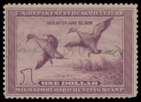 Scan of RW5 1938 Duck Stamp  Used F-VF