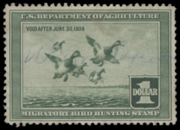 Scan of RW4 1937 Duck Stamp  Used F-VF