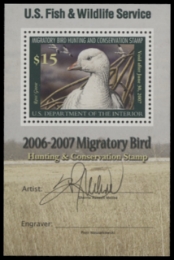 Scan of RW73B 2006 Duck Stamp  MNH F-VF