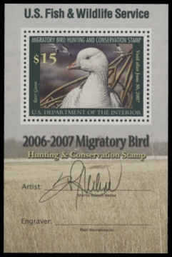 Scan of RW73B 2006 Duck Stamp  MNH F-VF