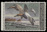 Scan of RW49 1982 Duck Stamp  MNH F-VF