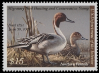 Scan of RW75 2008 Duck Stamp  MNH F-VF