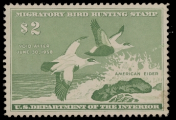 Picture of RW24 1957 Duck Stamp  MNH F-VF