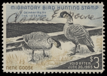 Scan of RW31 1964 Duck Stamp  Used F-VF