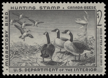 Scan of RW25 1958 Duck Stamp  MNH F-VF