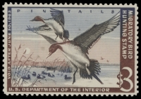 Scan of RW29 1962 Duck Stamp  MNH F-VF