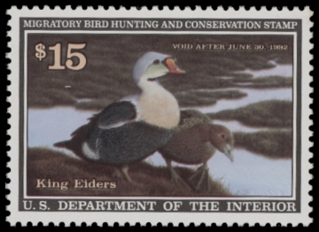 Scan of RW58 1991 Duck Stamp  MNH F-VF