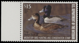 Scan of RW74 2007 Duck Stamp  MNH VF