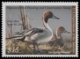 Scan of RW75 2008 Duck Stamp  MNH F-VF