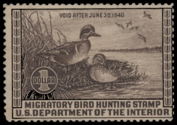 Scan of RW6 1939 Duck Stamp  Unsigned F-VF