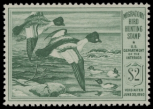 Scan of RW16 1949 Duck Stamp  MNH F-VF