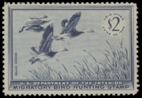 Scan of RW22 1955 Duck Stamp  Unsigned F-VF