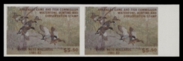 Scan of 1981 Arkansas Duck Stamp - First of State MNH VF