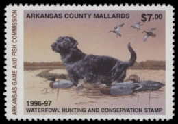 Scan of 1996 Arkansas Duck Stamp MNH VF