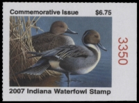 Scan of 2007 Indiana Duck Stamp MNH VF