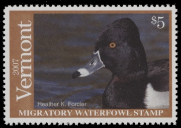 Scan of 2007 Vermont Duck Stamp MNH VF