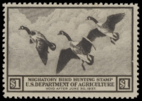 Scan of RW3 1936 Duck Stamp  MLH F-VF