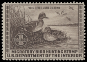Scan of RW6 1939 Duck Stamp  MLH F-VF