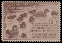 Scan of RW8 1941 Duck Stamp  MLH F-VF