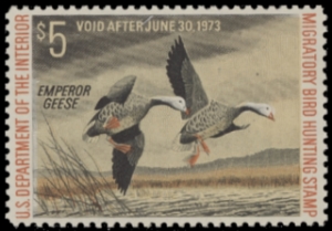 Scan of RW39 1972 Duck Stamp  MNH F-VF