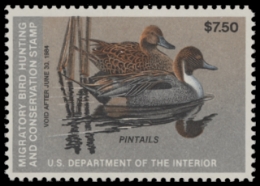 Scan of RW50 1983 Duck Stamp  MNH F-VF