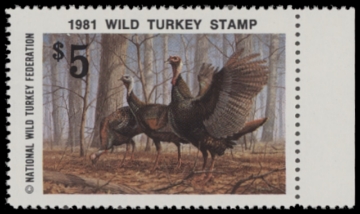 Scan of 1981 National Wild Turkey Federation Wild Turkey Stamp MNH VF