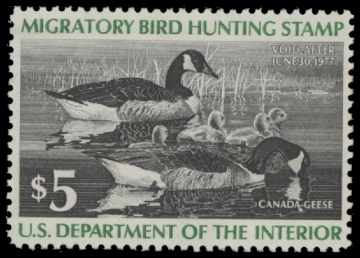 Scan of RW43 1976 Duck Stamp  MNH F-VF