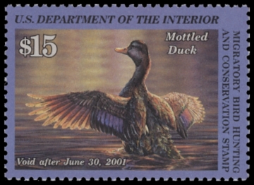 Scan of RW67 2000 Duck Stamp  MNH F-VF