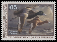 Scan of RW66 1999 Duck Stamp  MNH F-VF