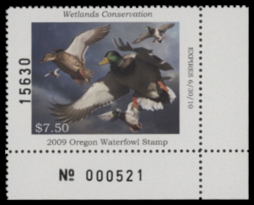 Scan of 2009 Oregon Duck Stamp MNH VF