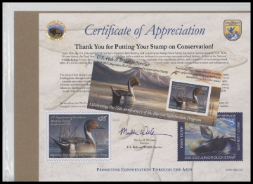 Picture of RW91A 2024 Duck Stamp