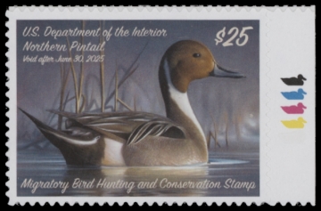 Picture of RW91 2024 Duck Stamp