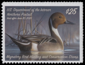 Picture of RW91 2024 Duck Stamp