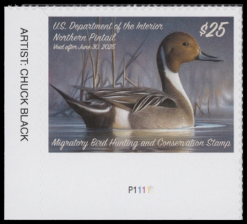 Scan of RW91 2024 Duck Stamp 