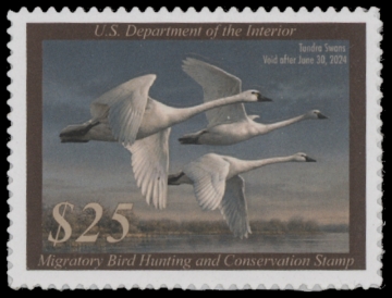 Scan of RW90 2023 Duck Stamp