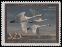 Scan of RW90 2023 Duck Stamp - Faults