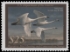 Scan of RW90 2023 Duck Stamp - Faults