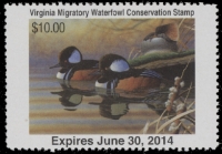 Scan of 2013 Virginia Duck Stamp
