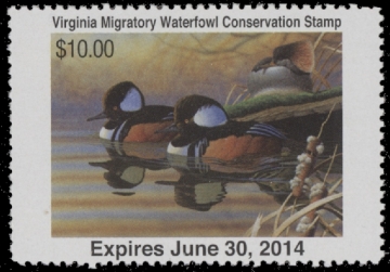 Scan of 2013 Virginia Duck Stamp