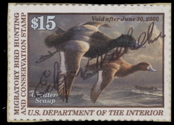 Scan of RW66 1999 Duck Stamp 