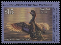 Scan of RW67 2000 Duck Stamp 